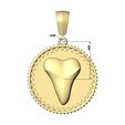 Notched-pattern-shark-tooth-coin-pendant-07.jpg 带保释金的鲨鱼齿凹槽图案硬币 3D 打印模型