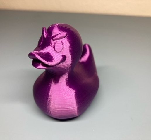 image2.jpeg Wütende Gummiente