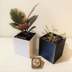 view (6).jpg CuBe - The cubic design planter with water reservoir