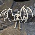 PXL_20240228_191239765.jpg Skeleton Action Figure