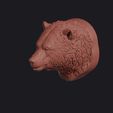 cave_bear_0015.jpg Cave Bear Head Bust Wall Mount
