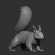 squirrel7.jpg Squirrel 3D print model