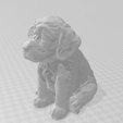 3.png labradoodle