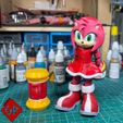 5.jpg Flexi Amy Rose - Sonic - Print In Place