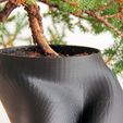 gcreate-bonsai_closeup.jpg Bonsai Planter (New HD Model with over 1,100,000 Triangles)