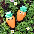 carotte15.jpg Carlo the Carrot Container