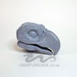 20231117_105740.jpg Griffin/Eagle Head with Hinged Jaw for Art Dolls and Puppets