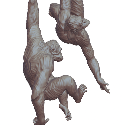 IMG_8581.png hanging monkeys