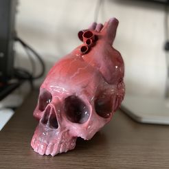 IMG_4154.jpg STL file Heart Skull・Model to download and 3D print