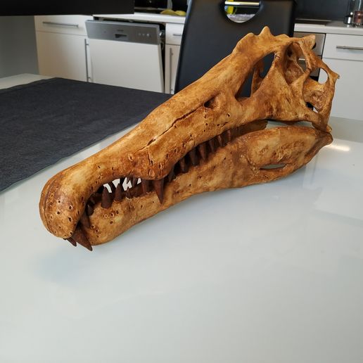 spinosaurus-dinosaur-skull-3d-printing-223627.jpg OBJ file Spinosaurus Dinosaur Skull・3D print model to download, arric