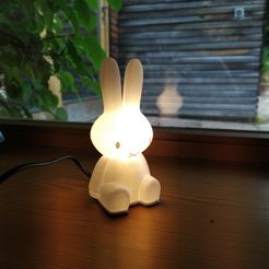 1627495435220.jpg Файл STL miffy・3D-печатный дизайн для загрузки