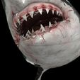 s65.jpg SHARK, DOWNLOAD Shark 3D modeL - Animated for Blender-fbx-unity-maya-unreal-c4d-3ds max - 3D printing SHARK SHARK FISH - TERROR  - PREDATOR - PREY - POKÉMON - DINOSAUR - RAPTOR