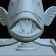 Dentex-mouth-statue-64.png fish Common dentex / dentex dentex open mouth statue detailed texture for 3d printing