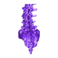 A Pesato reparada 1.stl Scoliosis spine 1