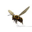0_00013.jpg DOWNLOAD BEE 3D Model BEE - Obj - FbX - 3d PRINTING - 3D PROJECT - BLENDER - 3DS MAX - MAYA - UNITY - UNREAL - CINEMA4D - BEE GAME READY - POKÉMON - RAPTOR