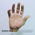 4.png 真人大小的 3D 扫描男性手部 - 用于雕塑和数字建模的模型