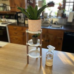 IMG_7517.jpg Free STL file 3-Tier Plant Organizer・3D print model to download