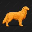 527-Australian_Shepherd_Dog_Pose_03.jpg Australian Shepherd Dog 3D Print Model Pose 03