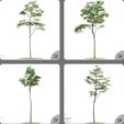 VB8W9KyY.jpeg Long Tree Decoration Plant Home Decor Garden 3D Model 25-28