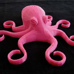 octo.jpg Octopus Magnet
