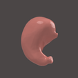 2.png STOMACH SEGMENTED MODEL