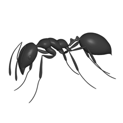 9.png Ant