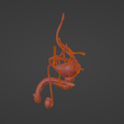 8.png 3D Model of Male Reproductive System and Veins