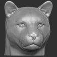 11.jpg Leopard head for 3D printing