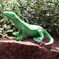 Capture_d__cran_2015-04-03___21.22.52.png Free STL file Little Lizard・3D printer design to download