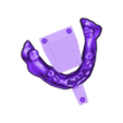 789513050_20240502_1036_Tech_01_D_P_HaD_flex_UnsectionedModel_LowerJaw.stl DIGITAL PARTIAL REMOVABLE DENTURES ( upper + lower + 3D MODELS) - flexible