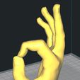 hand_Ok.jpg Hand (Multiple Poses & Models)
