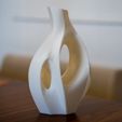_DSC8645.jpg Organic Sculptural Dry Flower Vase