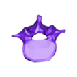 VertebralColumn2.stl Skeleton vertebral column torso bones (90 bones)