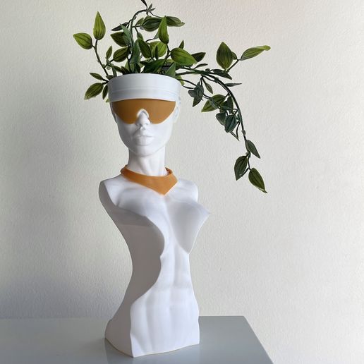 Dear Miami Planter