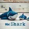 phonto.jpeg Mini Shark