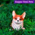 IMG_3081.jpg STL file Corgi dog print in place articulated flexi toy・Design to download and 3D print