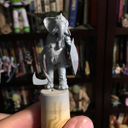 Photo Jul 10, 10 42 03 AM.jpg TUSK, Luxodon Warrior, Tabletop RPG Miniature