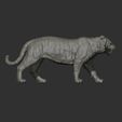 41.jpg Descargar archivo OBJ El tigre que camina • Modelo para la impresión en 3D, guninnik81