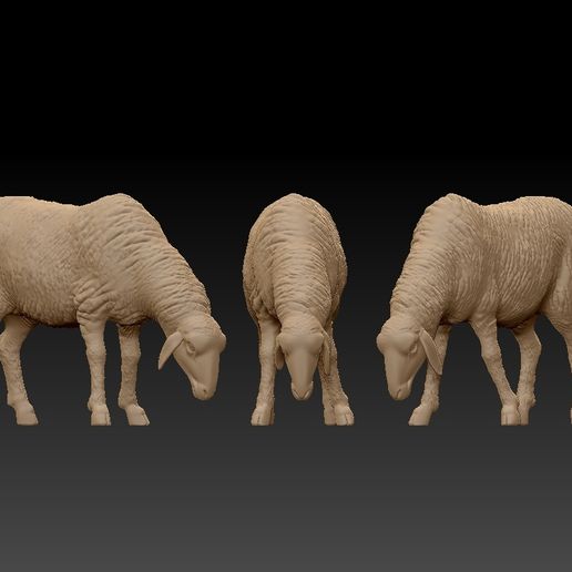 🐑 Grazing Sheep - Realistic ZBrush Animal Sculpture・ OBJ File for 3D ...
