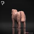 Bernese-Mountain-Dog-Pose-02-Dog-3D-Print-6s.jpeg Bernese Mountain Dog 3D Print Model Pose 02