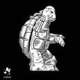 4.jpg Tortuga Ninja (Banda Desenhada) (Primero)