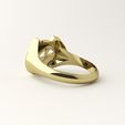 cat-ring-5.jpg Cat ring