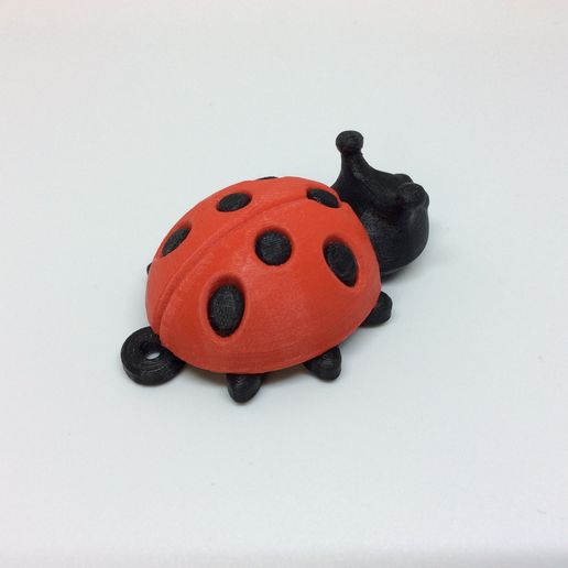 IMG_1635.jpg MARIENKÄFER & IGEL & BIENE