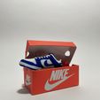 Nike Dunk Low