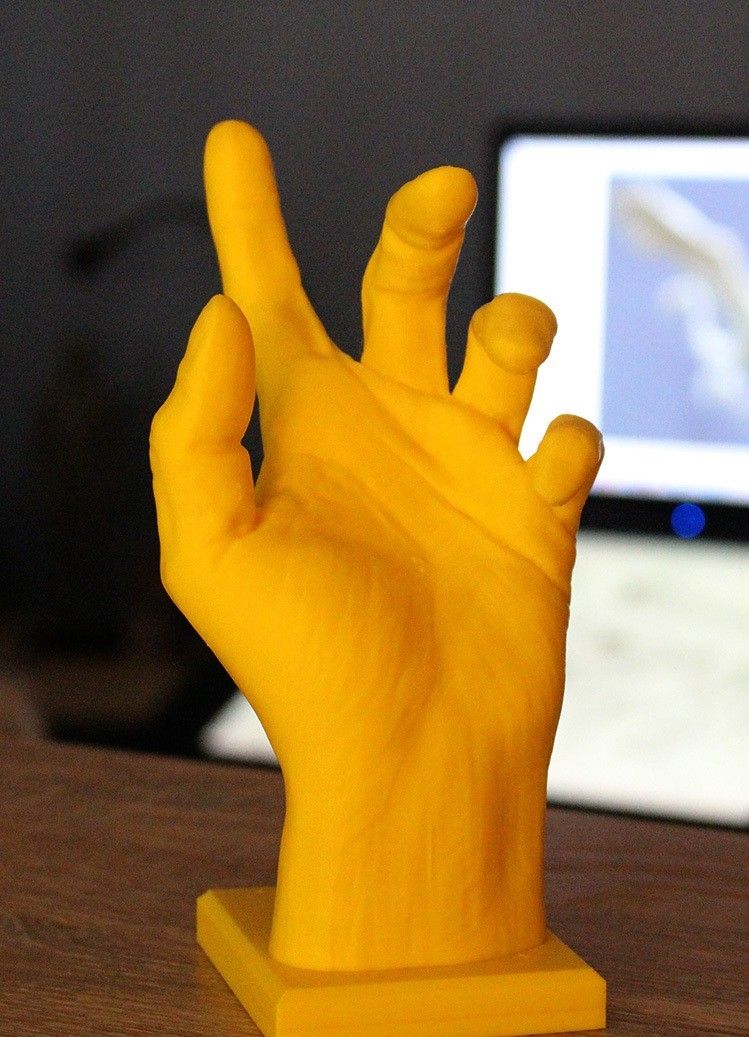 IMG_0408.JPG Archivo STL gratis hand anatomy・Objeto de impresión 3D para descargar, tutus