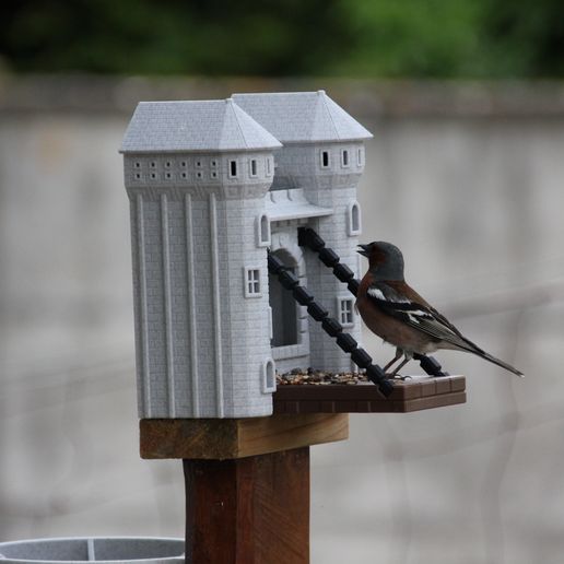 IMG_4083.jpg BIRD FEEDER & DRINKER & CUP