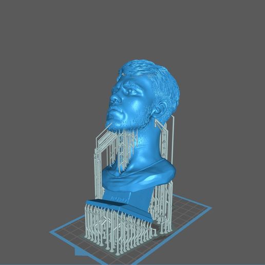 Capture12323213.jpg Carlos Alcaraz bust for 3D printing