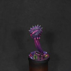 The Hive Set Bases (Pre-supported)