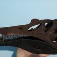 spinosaurus-aegyptiacus-skull-3d-print-model-21.jpg Spinosaurus skull 3d print