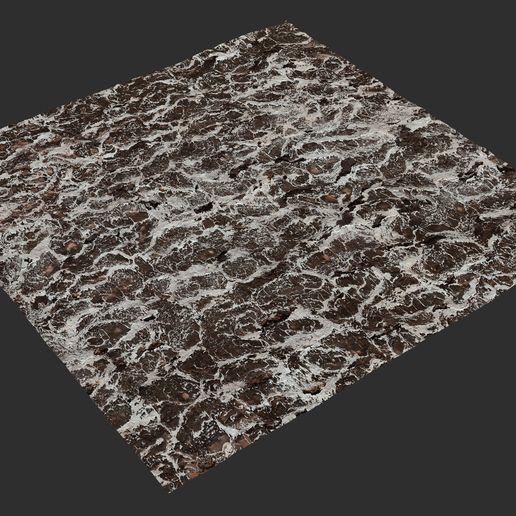 8.jpg Lichen 8K PBR Texture